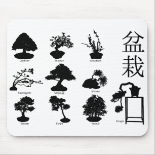 Tapis De Souris Styles de base de l'arbre Bonsai 10