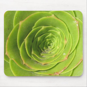 Tapis De Souris Succulent