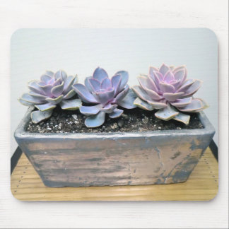 Tapis De Souris Succulent en argent