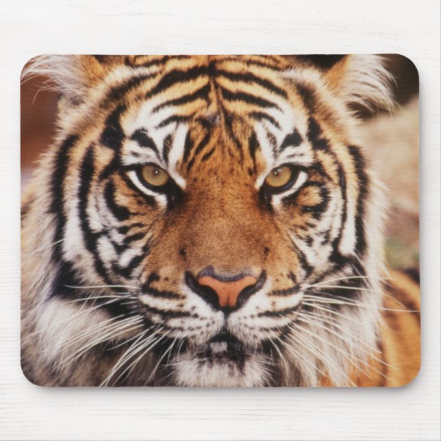 Tapis De Souris Sumatran Tiger (Devant)