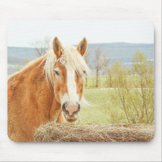 Tapis De Souris Summer Breeze Palomino Farm Horse 