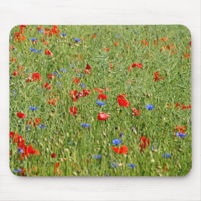 Tapis De Souris Summer field with red and blue flowers (Devant)