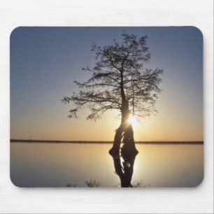 Tapis De Souris Sunset Behind a Tree