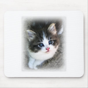 Tapis De Souris SUPER CUTE Kitten Portrait Photograph