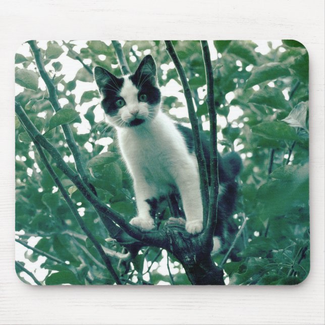 Tapis De Souris Superfluence de la méchanceté (Devant)