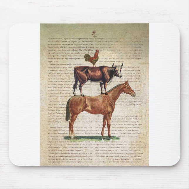 Tapis De Souris Support C1.tif de la ferme NOB12 (Devant)