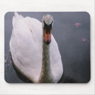Tapis De Souris Swan