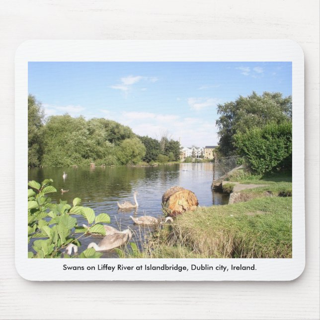 Tapis De Souris Swans on River Liffey, Islandbridge, Dublin City (Devant)