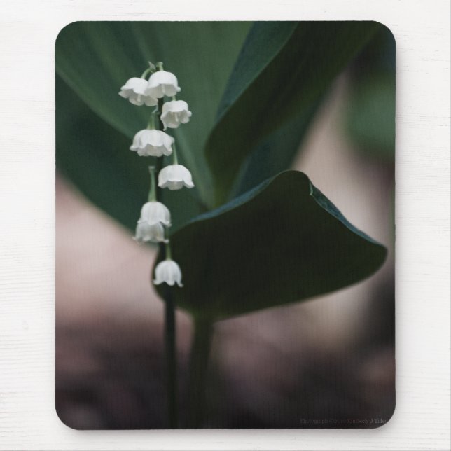 Tapis De Souris Sweet Bells Mousepad (Devant)