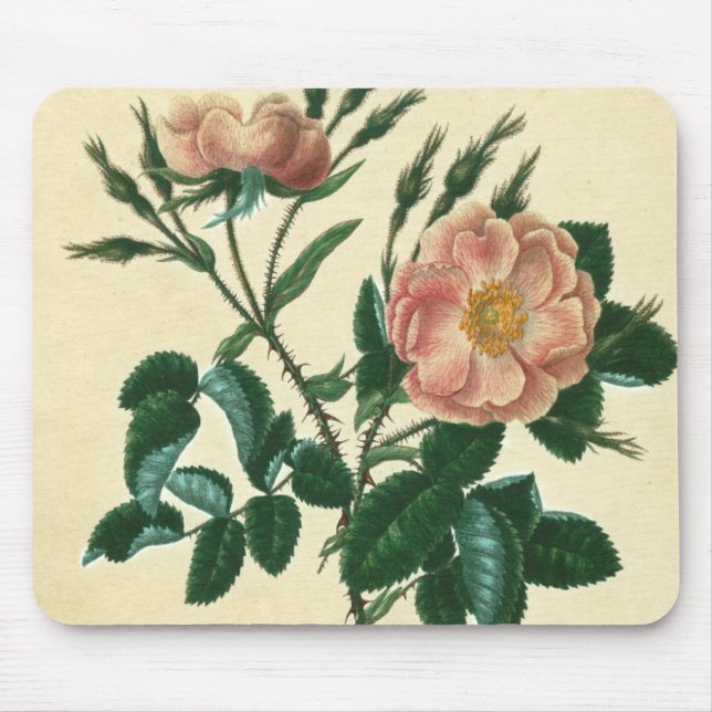 Tapis De Souris Sweet Briar Rose (Devant)