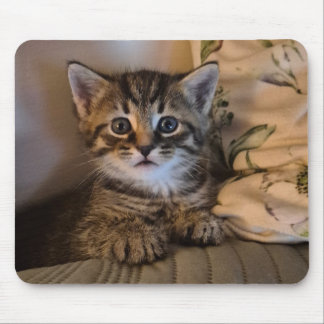 Tapis De Souris Sweet kitty