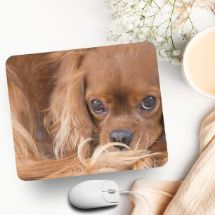 Tapis De Souris Sweet Ruby Cavalier King Charles Spaniel