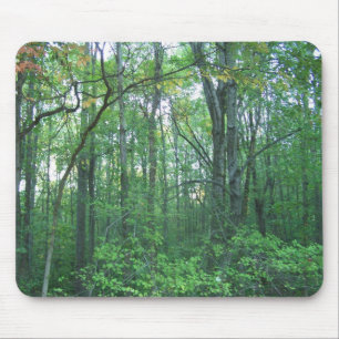 Tapis De Souris Sylviculture de chute