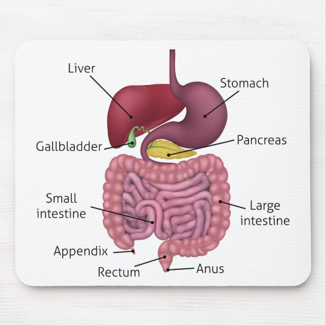 Tapis De Souris Système digestif gastro-intestinal et Étiquettes (Devant)