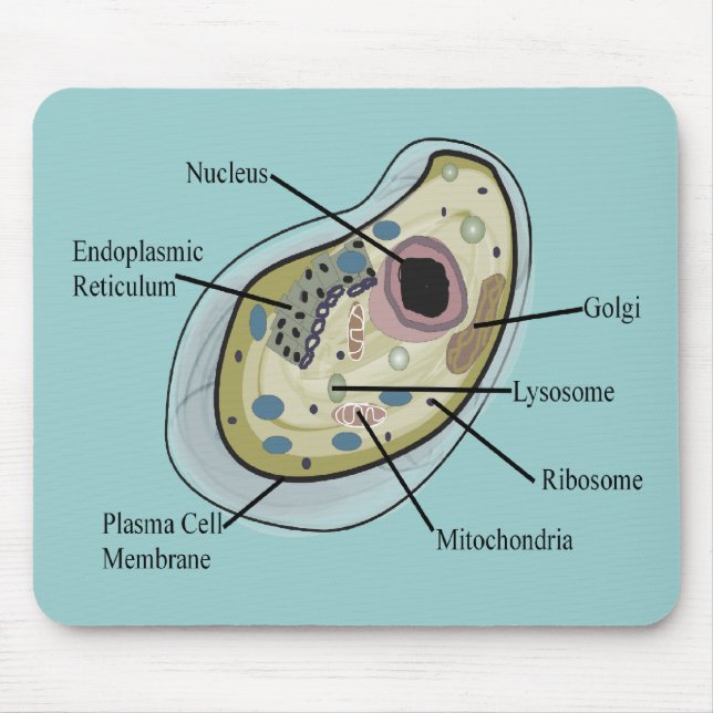 Tapis De Souris T-shirts de biologie de cellule humaine (Devant)