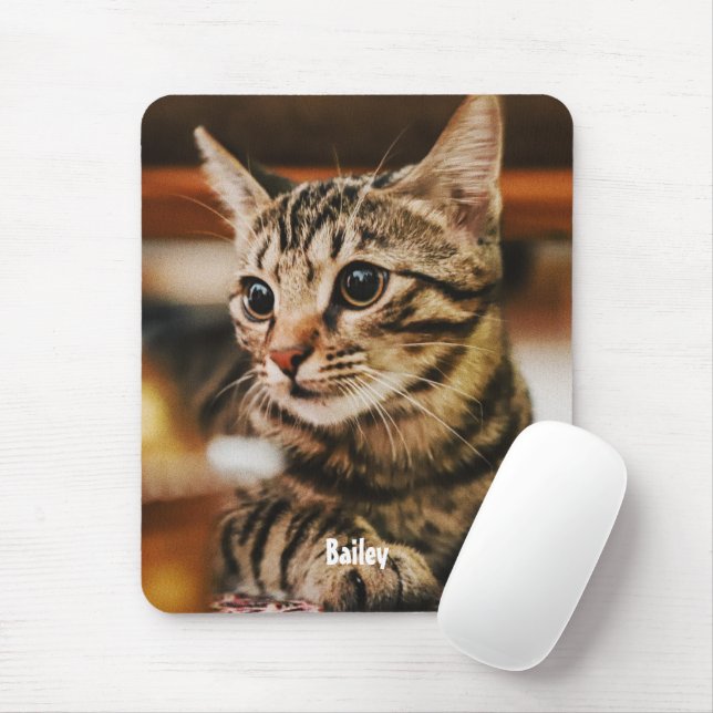 Tapis De Souris Tabby American Shorthair Custom (Avec souris)