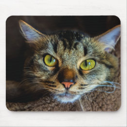 Tapis De Souris Tabby Cat