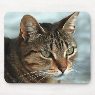 Tapis De Souris Tabby Cat étonnant FermerPortrait Artistique