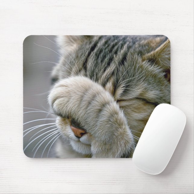 Tapis De Souris Tabby Cat Humor (Avec souris)