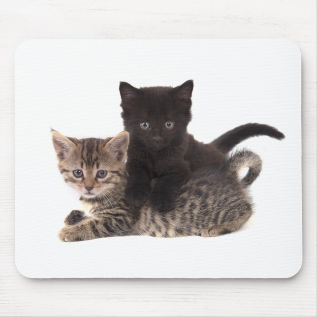 Tapis De Souris tabby kitten black kitten (Devant)