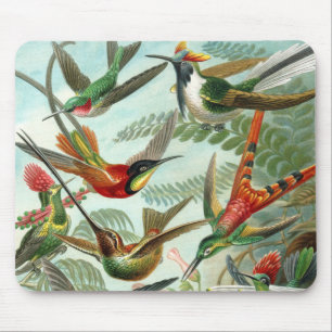 Tapis De Souris tableau classique de la faune des oiseaux colibris