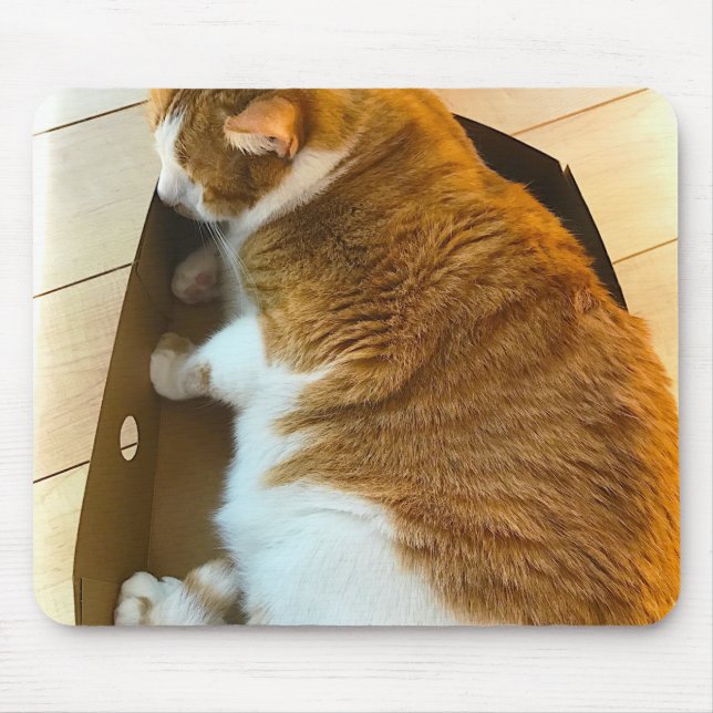 Tapis De Souris Tablette de gingembre en carton (Devant)