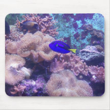 Tablette de souris "Blue Hippo Tang Oasis"