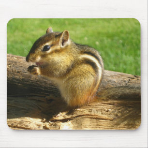Tapis De Souris Tamia mignonne