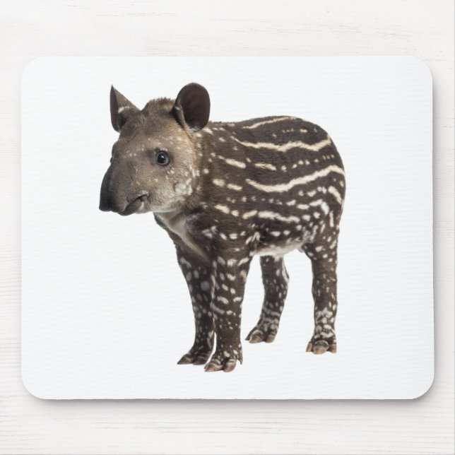 Tapis De Souris Tapir (Devant)