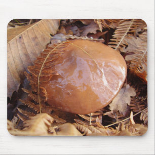 Tapis De Souris Tapis glissant de souris de champignon de Jack