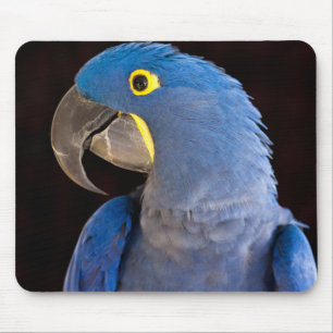 Tapis De Souris Tara Mousepad