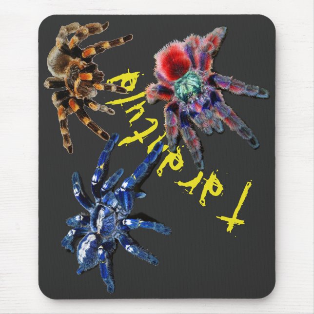 Tapis De Souris Tarantula spider (Devant)