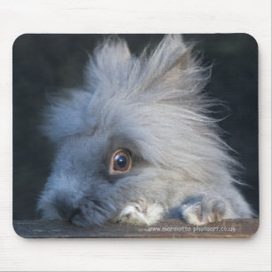 Tapis De Souris Taz Mousemat