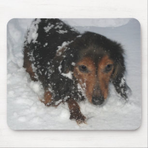 Tapis De Souris Teckel dans la neige Mousepad