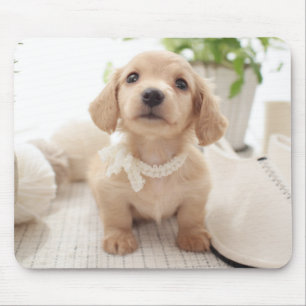 Tapis De Souris Teckel miniature