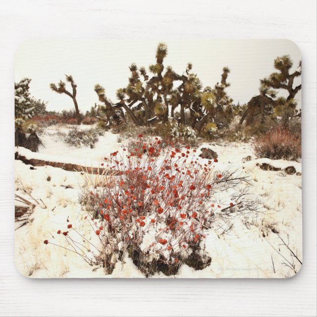 Tapis De Souris Tempête peu commune de neige sur les arbres de (Devant)
