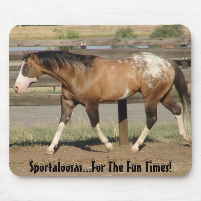 Tapis De Souris Temps d'amusement de sportaloosa d'Appaloosa (Devant)