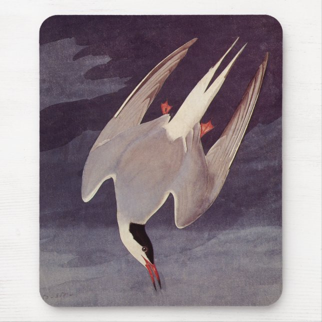 Tapis De Souris Terne arctique par John James Audubon, Oiseaux Vin (Devant)