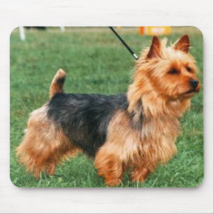 Tapis De Souris Terrier australien Mousepad