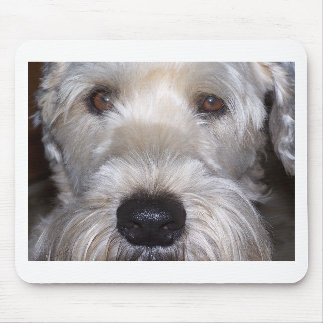 Tapis De Souris Terrier blond comme les blés doucement enduit (Devant)