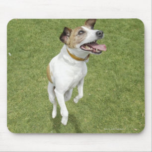 Tapis De Souris Terrier de Jack Russell sautant, vue élevée