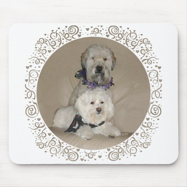 Tapis De Souris Terrier Wheaten et Havanais (Devant)