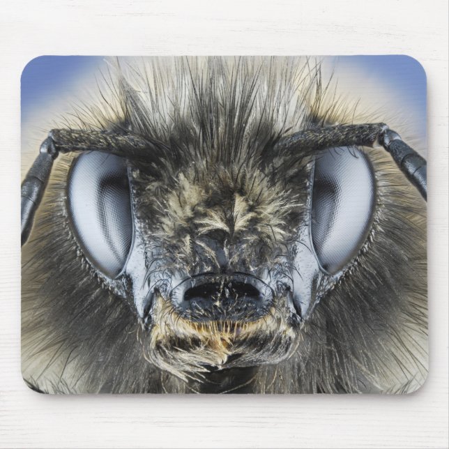Tapis De Souris Tête de bourdon (Devant)