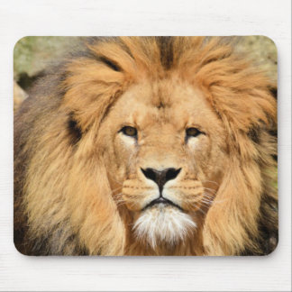 Tapis De Souris Tête de Lions