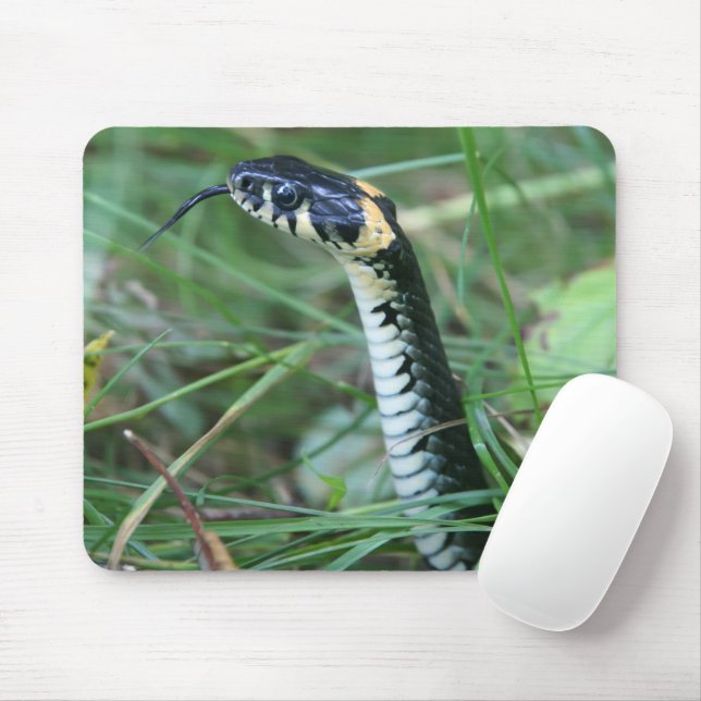 Tapis De Souris Tête de serpent (Avec souris)