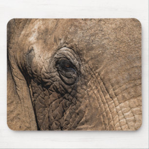 Tapis De Souris Tête d'un éléphant