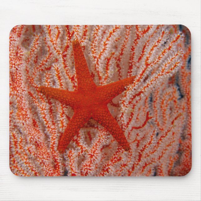 Tapis De Souris Thaïlande : Aka Starfish du Sea Star (Devant)