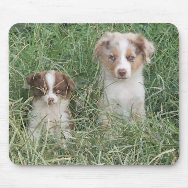 Tapis De Souris The Cuteness Never Stops (Devant)