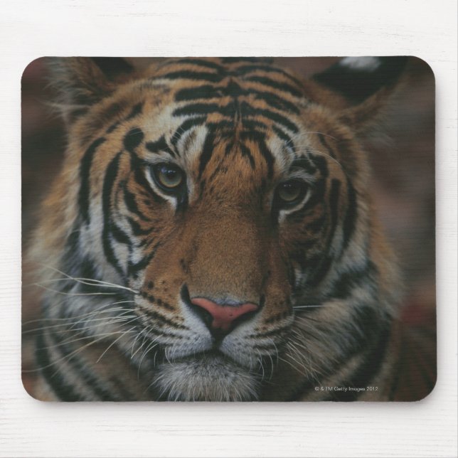 Tapis De Souris Tiger (Devant)