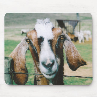 Tapis De Souris tigger